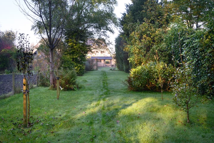 Foto 35 van Houtwal 8