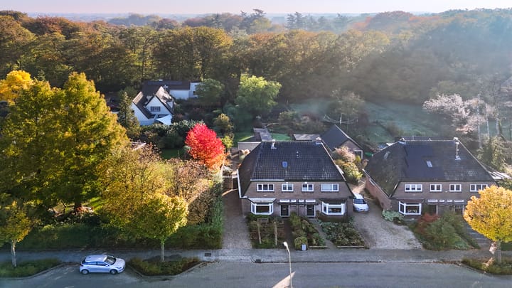 Foto 41 van Houtwal 8