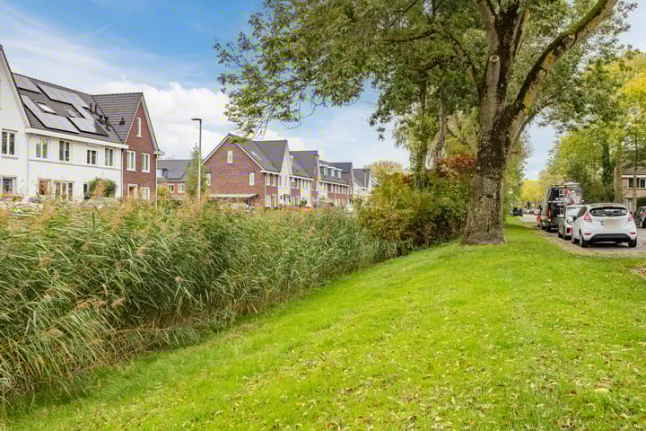 Foto 33 van Korenschoof 1