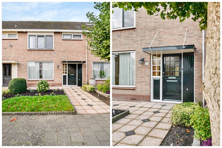 Bekijk foto 3 van Hermanus van der Haarstraat 12