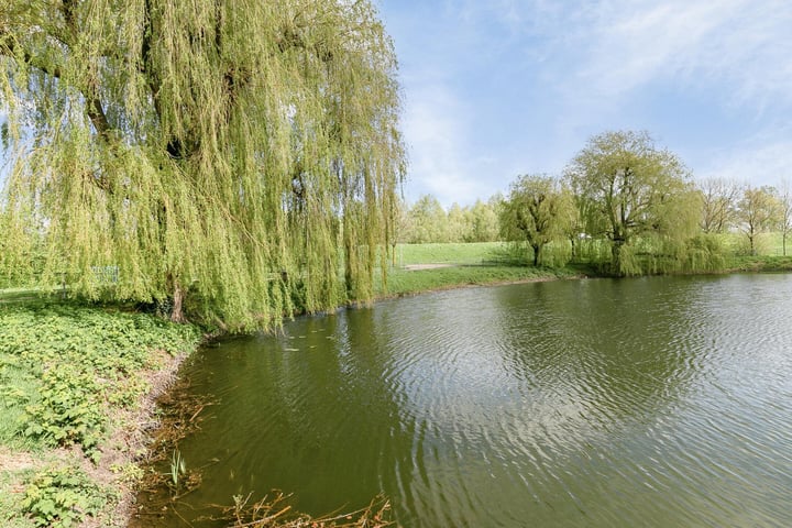 Bekijk foto 43 van Stadswal 55-E