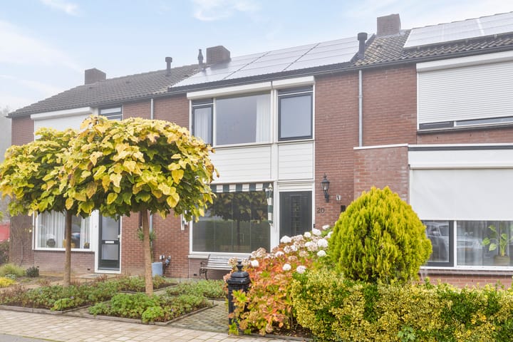 undefined main image