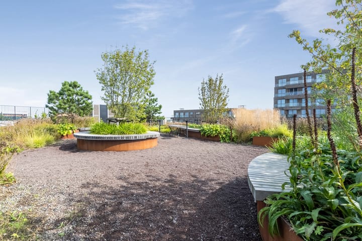 Foto 29 van Surinamepad 154