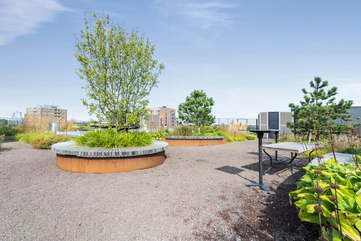 Foto 30 van Surinamepad 154