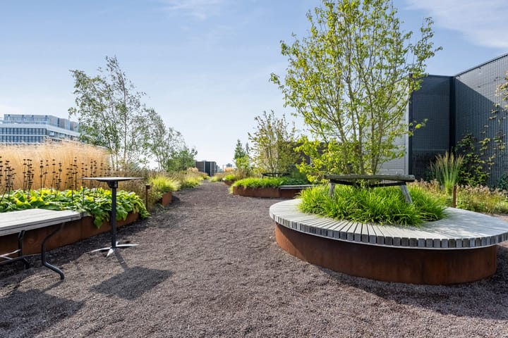 Foto 31 van Surinamepad 154