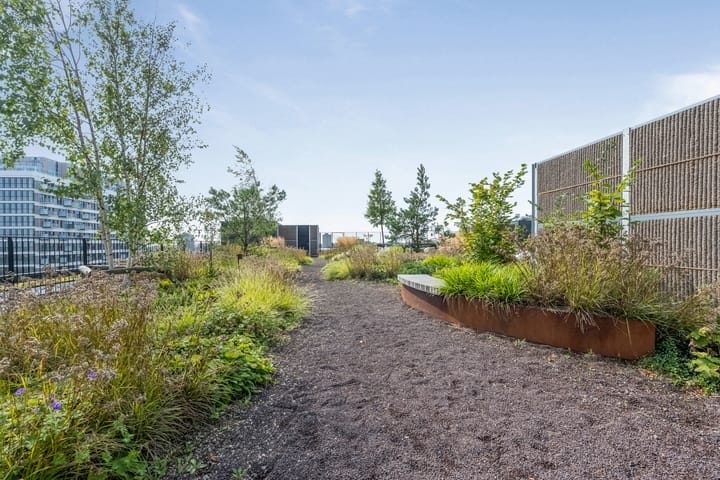 Foto 32 van Surinamepad 154