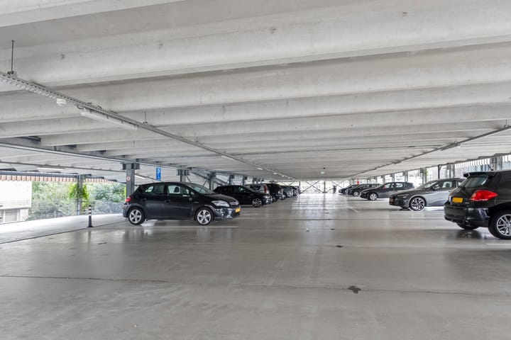 Foto 33 van Surinamepad 154