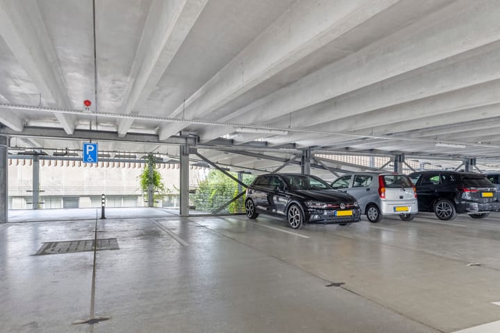 Foto 35 van Surinamepad 154