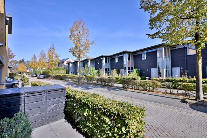 Foto 35 van Willem Roelofsstraat 27