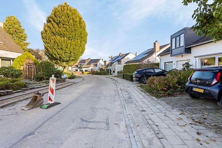 Foto 4 van Johan Frisostraat 20