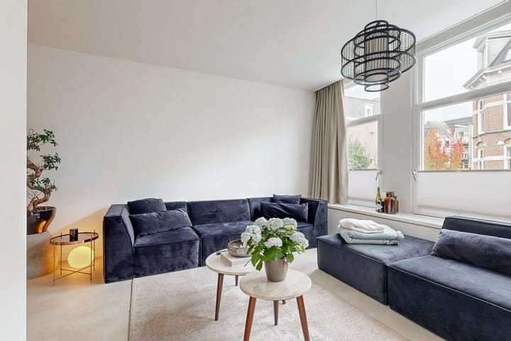 Foto 3 van Swammerdamstraat 46-1