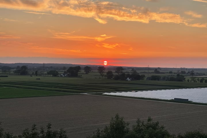 Bekijk foto 5 van Albardaweg 101