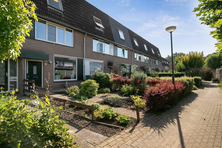 Foto 5 van Voetshoven 3