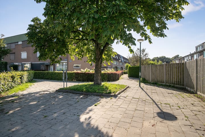 Foto 44 van Voetshoven 3