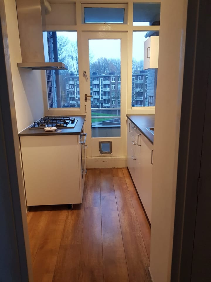 Foto 8 van Orchislaan 2-4