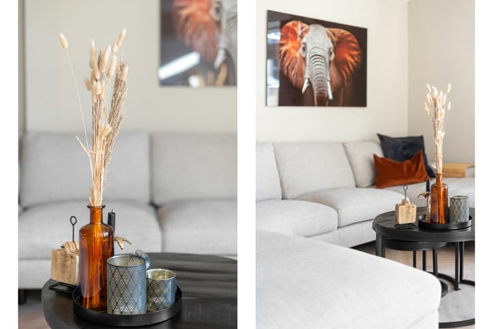 Foto 6 van Geraniumstraat 22