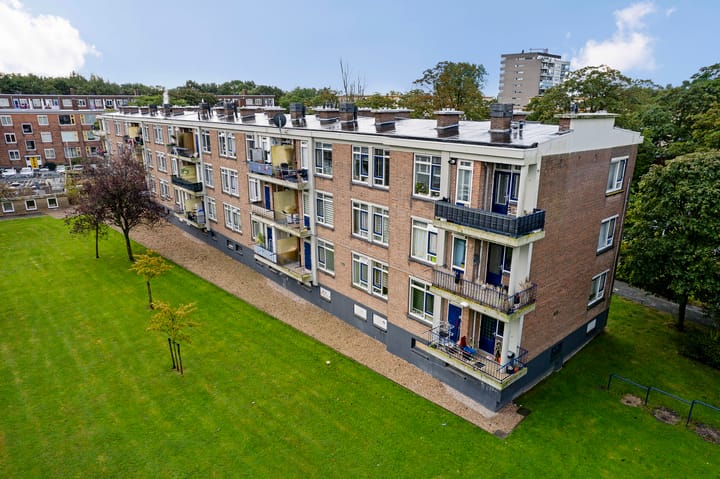 Foto 22 van Schipborgstraat 43