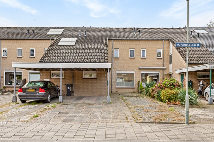 undefined main image