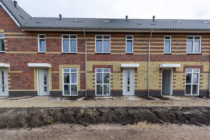 Hulakker 82