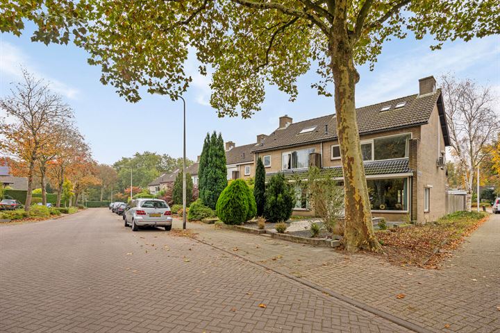 Bekijk foto 38 van Rode Schouw 67