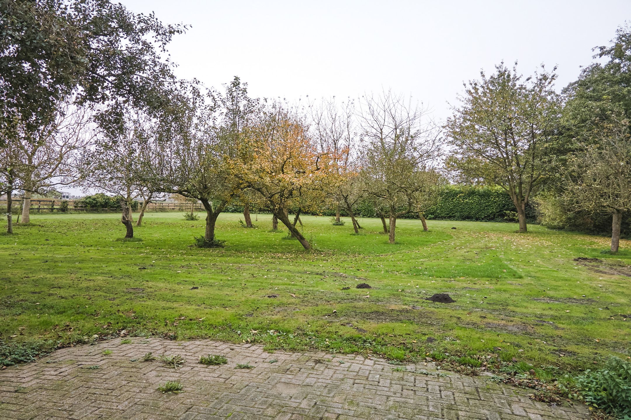Photo 84 of Middenweg 28