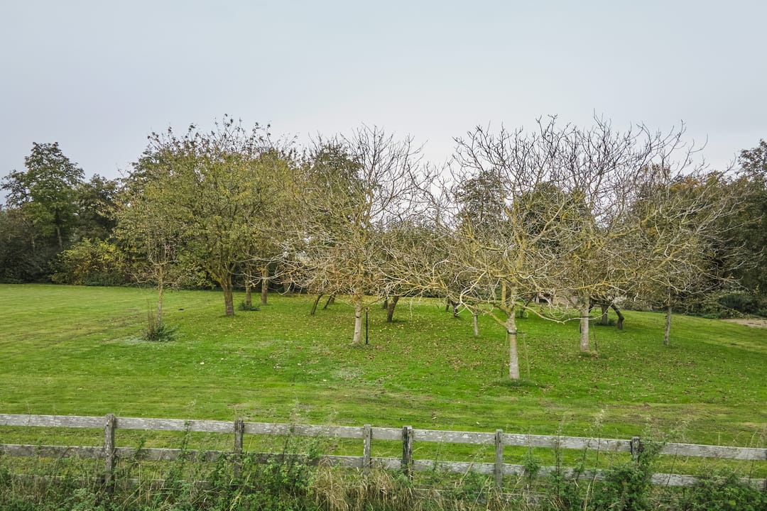 Photo 86 of Middenweg 28