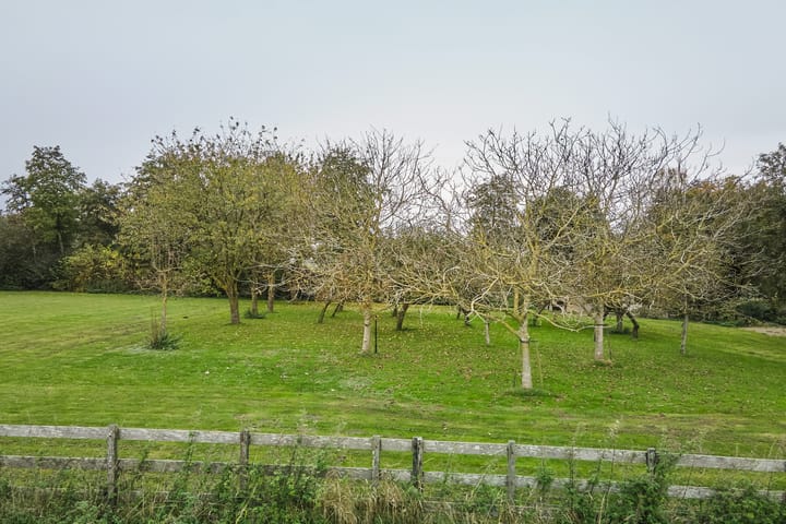 Foto 86 van Middenweg 28