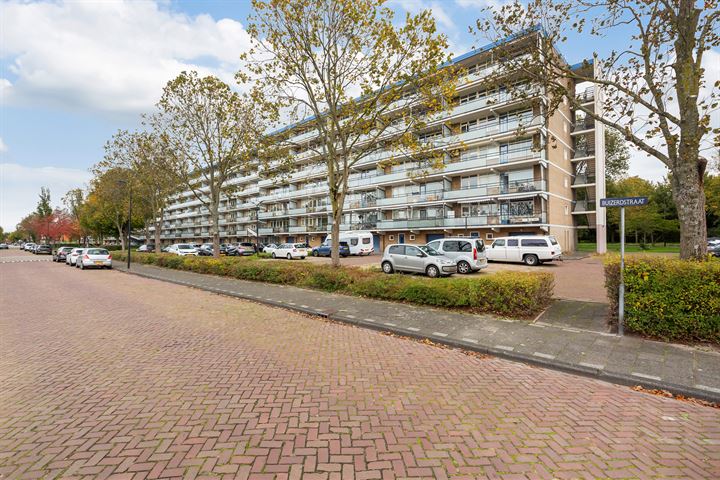 View photo 35 of Buizerdstraat 192