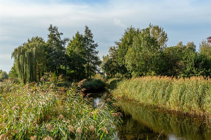 Bekijk foto 43 van Vrijenburglaan 185