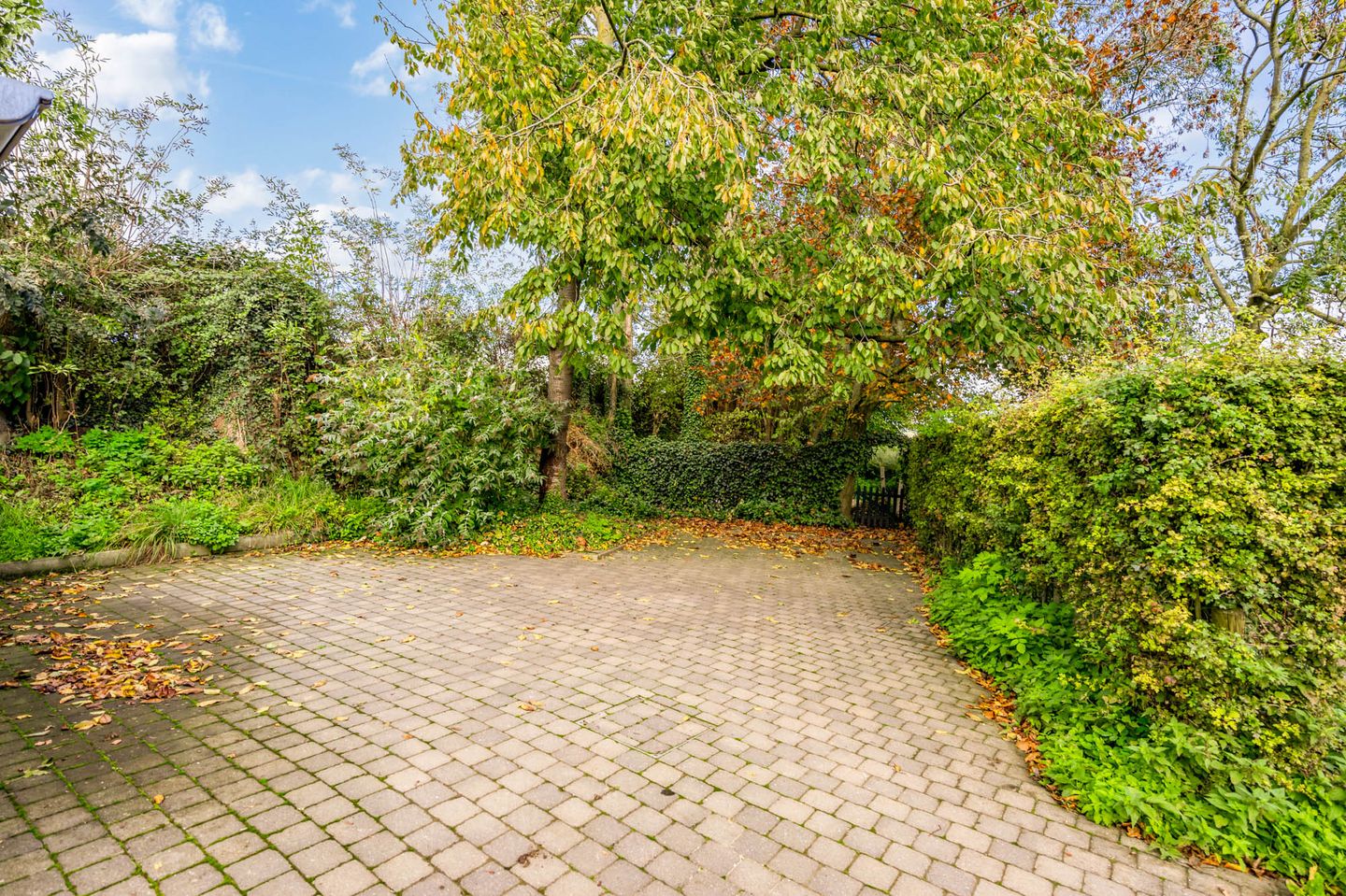 Foto 85 van Koebeek 1