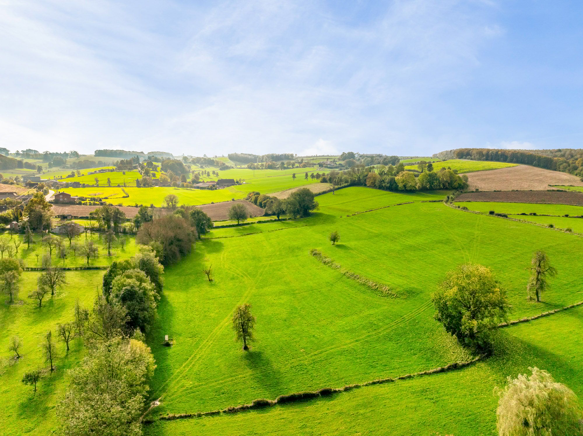 Foto 93 van Koebeek 1