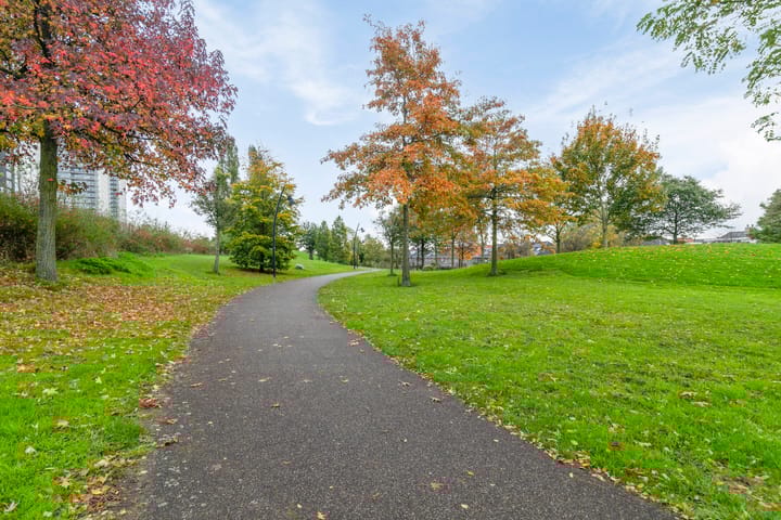 Foto 27 van Adriaan Prinslaan 29