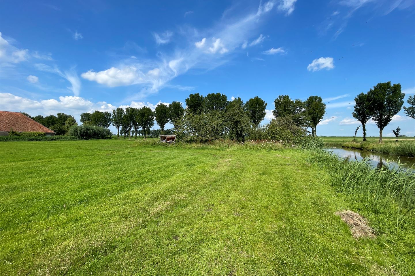 Bekijk foto 4 van Noorderweg