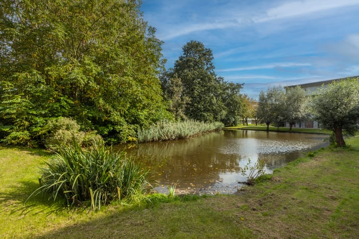 Foto 43 van Vrijheidslaan 16