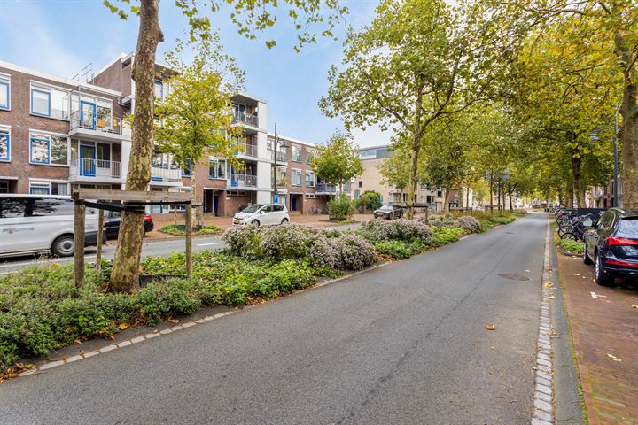 Bekijk foto 15 van Koolstraat 48-F