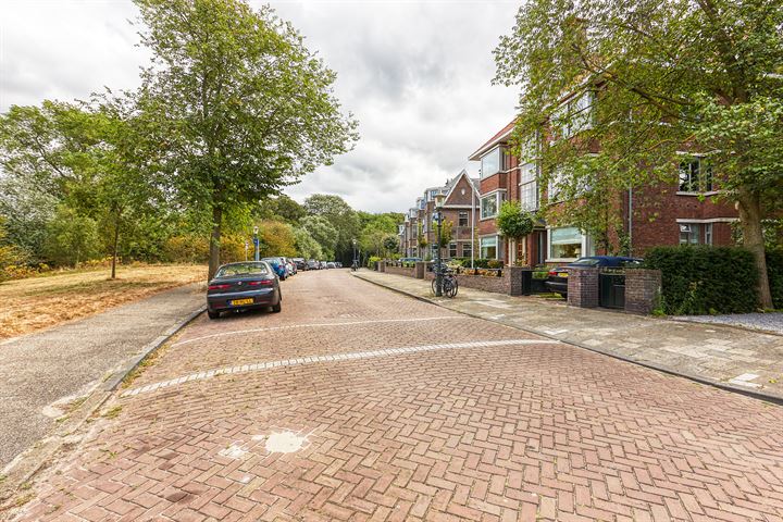 View photo 41 of Prof. P. S. Gerbrandyweg 25