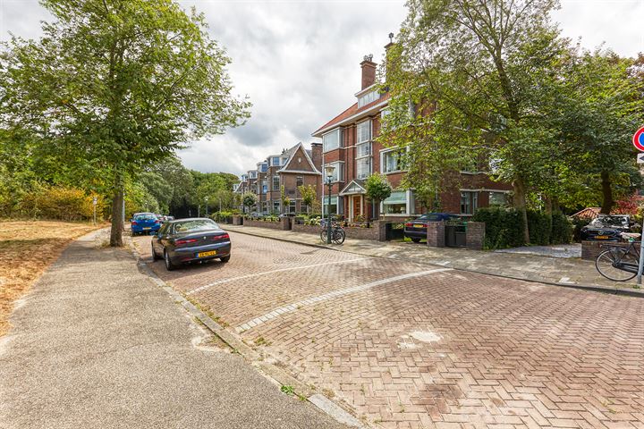 View photo 42 of Prof. P. S. Gerbrandyweg 25