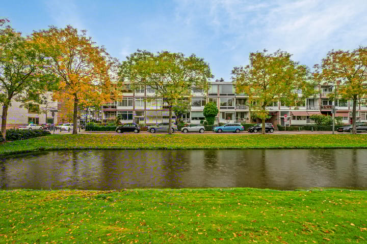 Foto 1 van Meidoornsingel 101-C