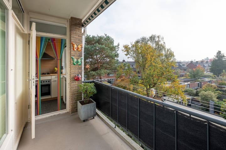 Foto 21 van Karel Doormanlaan 59