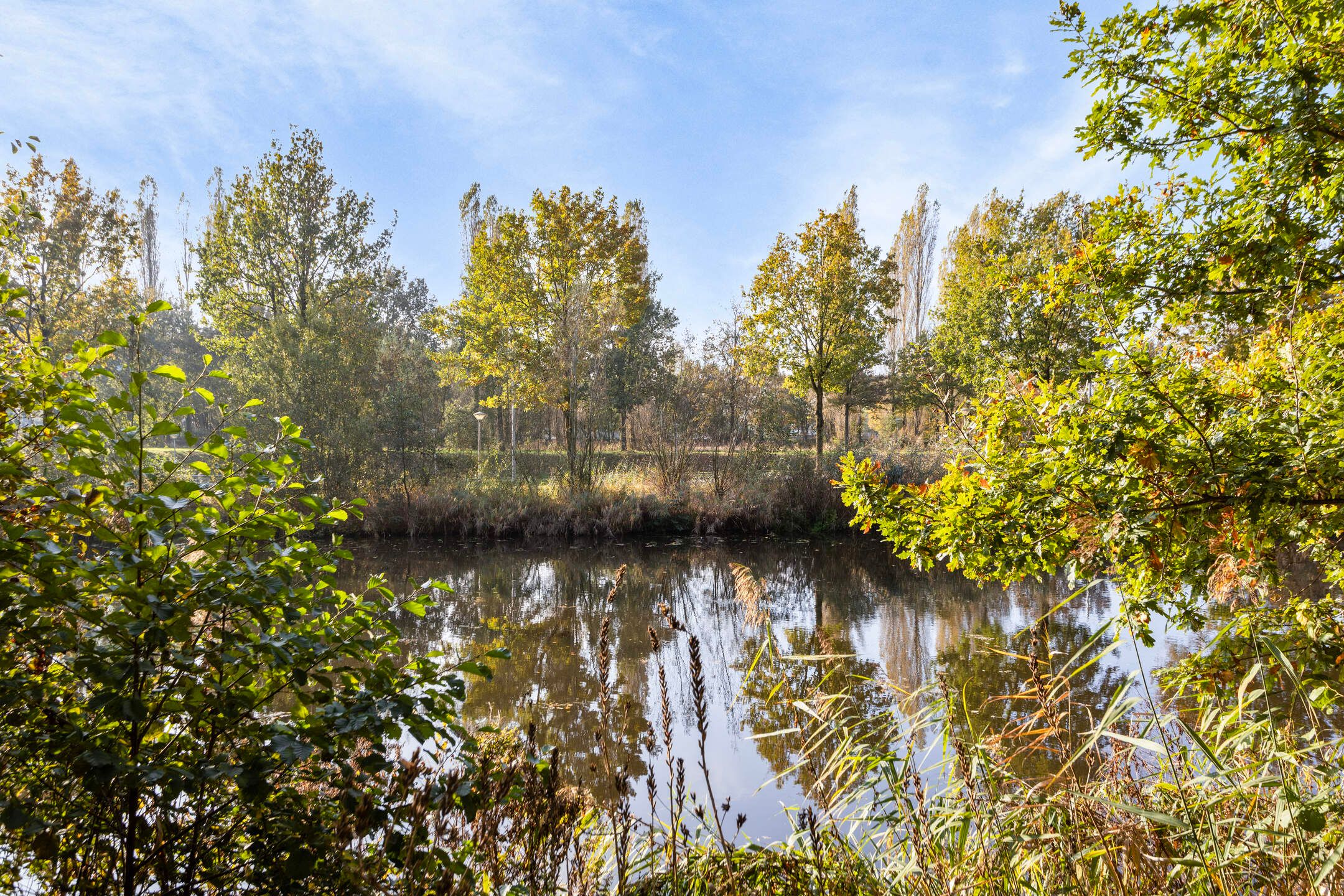 Photo 42 of Uilenspiegelstraat 11