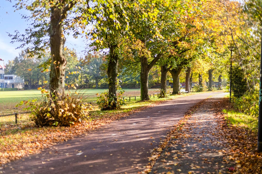 Photo 43 of Uilenspiegelstraat 11