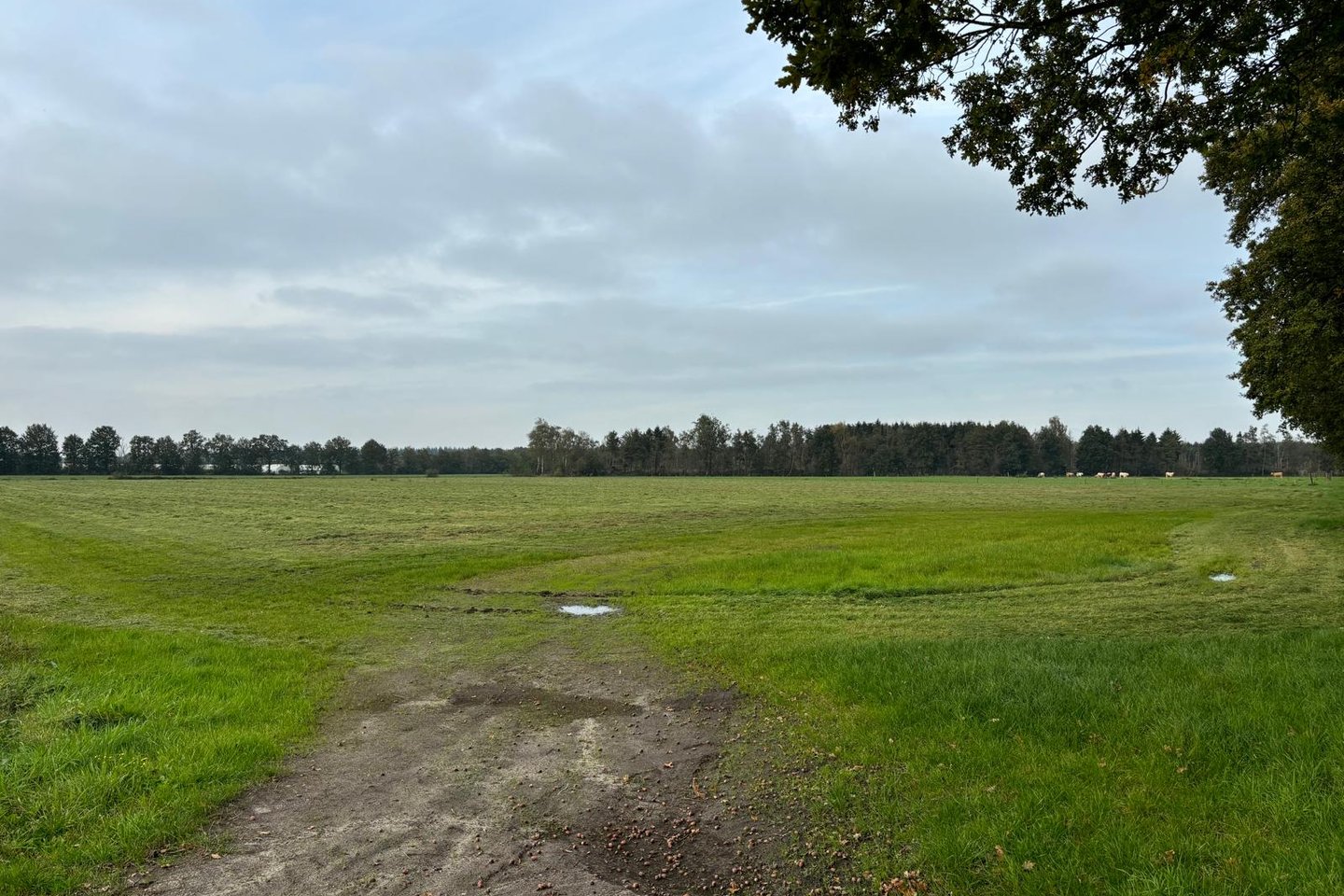 Bekijk foto 4 van Cultuurgrond Heischoorstraat