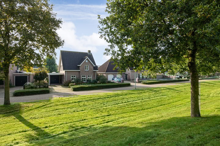 Foto 8 van Valeriaan 6