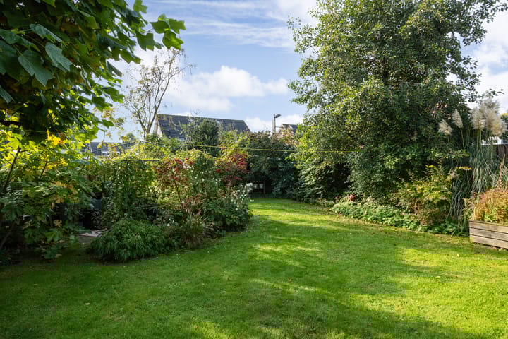 Foto 47 van Valeriaan 6