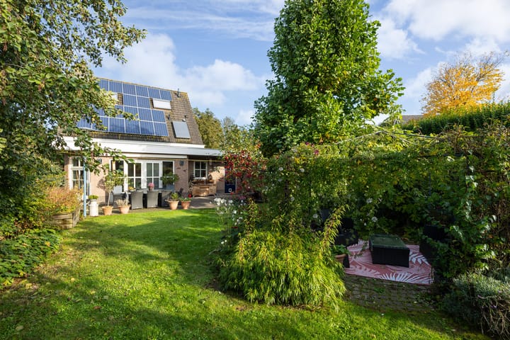 Foto 49 van Valeriaan 6