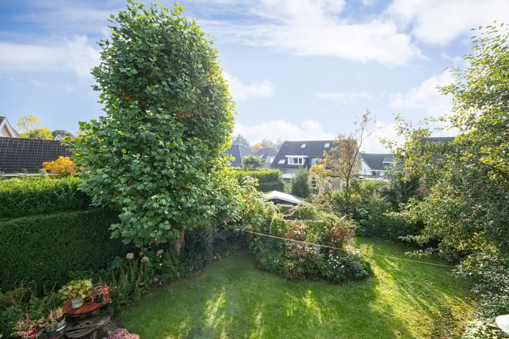 Foto 51 van Valeriaan 6