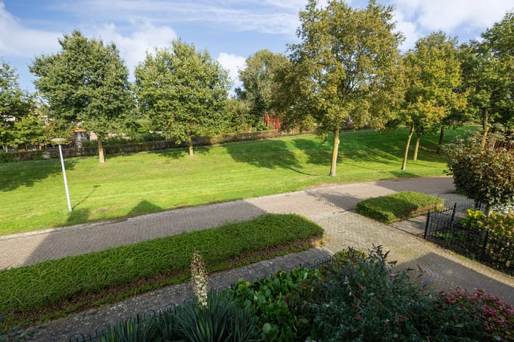 Foto 53 van Valeriaan 6