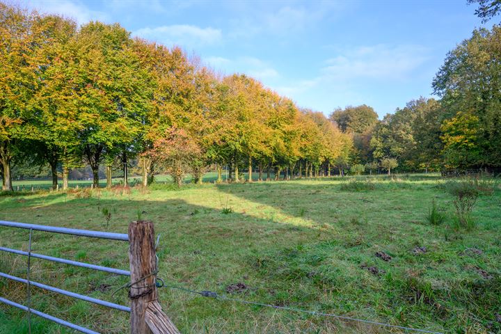 Bekijk foto 47 van van Hasseltweg 8