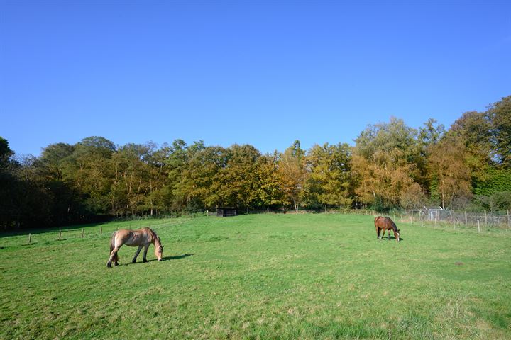 Bekijk foto 54 van van Hasseltweg 8