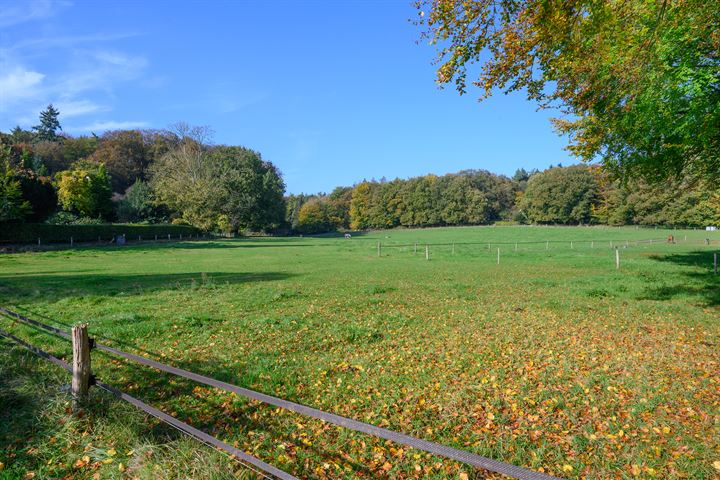 Bekijk foto 60 van van Hasseltweg 8